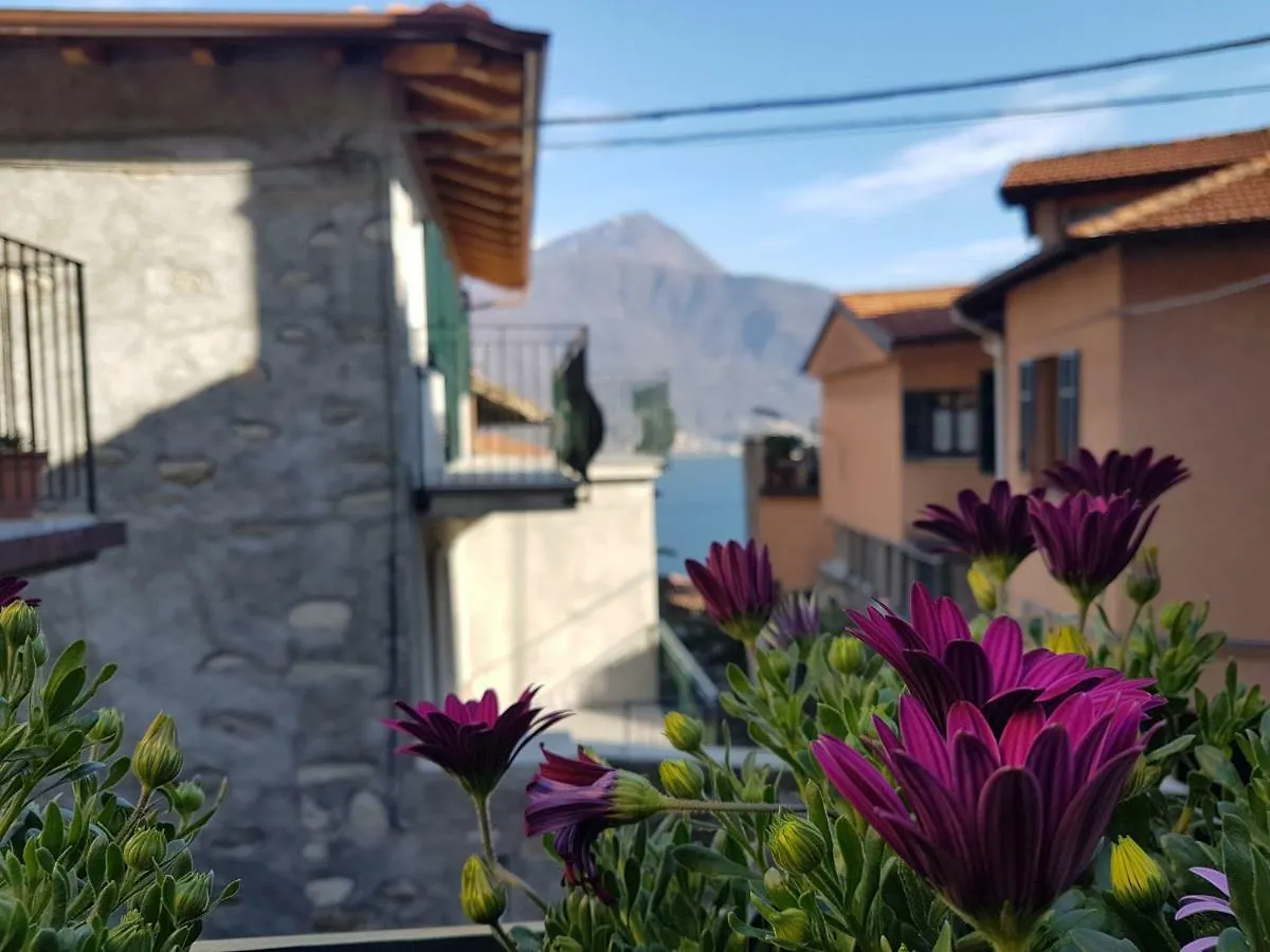 Ferienhaus Villa Il Torchio Musso